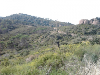 Serra de les Torretes